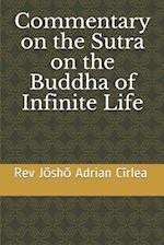 Commentary on the Sutra on the Buddha of Infinite Life