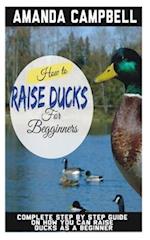 How to Raise Ducks for Beginners