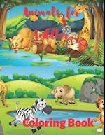 Animals for Toddler