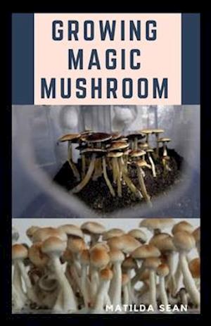 Growing Magic Mushroom