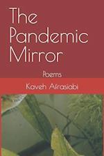 The Pandemic Mirror
