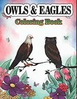 Owls & Eagles Coloring Book