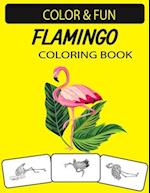 Flamingo Coloring Book