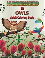 Hummingbirds and Owls Adults Coloring Book