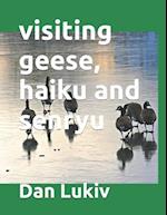 visiting geese, haiku and senryu