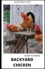 How to Raise Backyard Chicken