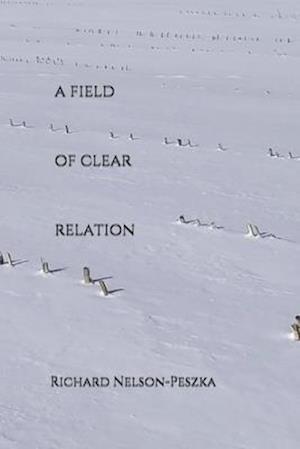 A Field Of Clear Relation