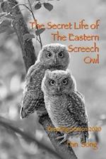 The Secret Life of Eastern Screech Owl: Breeding Season 2020 