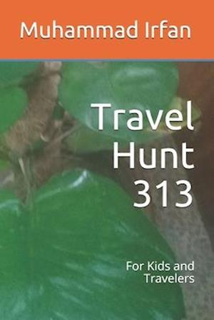 Travel Hunt 313