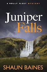 Juniper Falls: A Holly Fleet Mystery (2) 