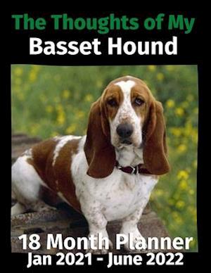 The Thoughts of My Basset Hound