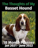 The Thoughts of My Basset Hound