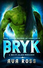 Bryk