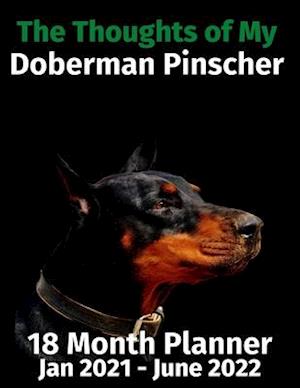 The Thoughts of My Doberman Pinscher