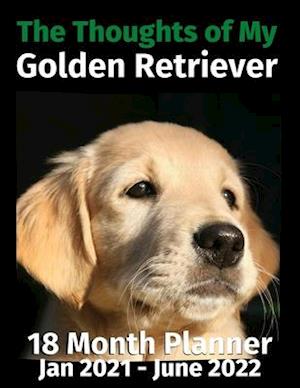 The Thoughts of My Golden Retriever