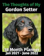 The Thoughts of My Gordon Setter