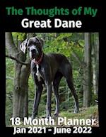 The Thoughts of My Great Dane