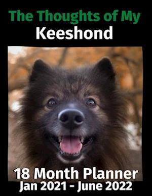 The Thoughts of My Keeshond