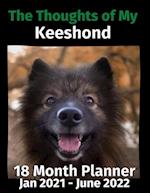 The Thoughts of My Keeshond