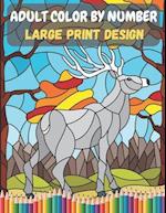 Adult Color By Number - Large Print Design