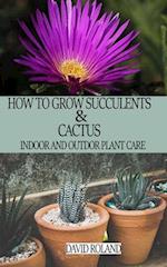 How to Grow Succulents and Cactus