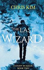 The Last Wizard