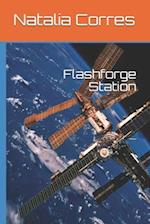 Flashforge Station