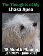 The Thoughts of My Lhasa Apso