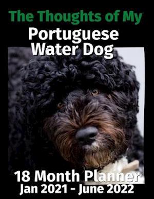 The Thoughts of My Portuguese Water Dog