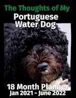 The Thoughts of My Portuguese Water Dog