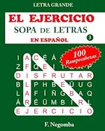 El Ejercicio Sopa de Letras En Español 3