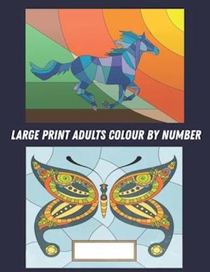 Large Print Adults Colour by Number