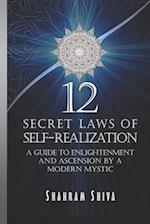 12 Secret Laws of Self-Realization: A Guide to Enlightenment and Ascension by a Modern Mystic 