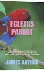 Ecletus Parrot