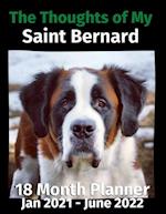 The Thoughts of My Saint Bernard