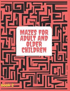 Mazes for Adult and Older Children book 2