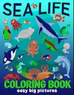 Sea Life Coloring Book Easy Big Pictures