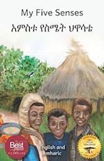 My Five Senses: The Sight, Sound, Smell, Taste and Touch of Ethiopia in Amharic and English 