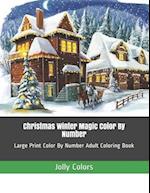 Christmas Winter Magic Color By Number