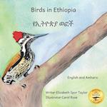 Birds in Ethiopia: The Fabulous Feathered Inhabitants of East Africa in Amharic and English 
