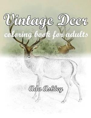 Vintage Deer Coloring Book for Adults