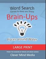 Brain-Ups Large Print Word Search