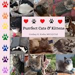 Purrfect Cats & Kittens