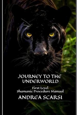 Journey To The Underworld: First Level Shamanic Procedure Manual