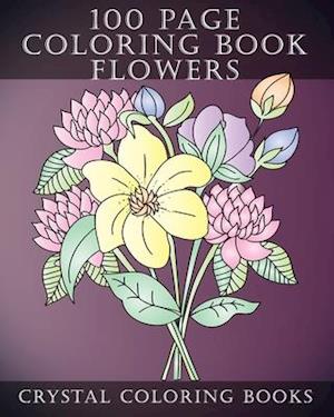 100 Page Coloring Book