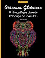 Oiseaux Glorieux - Un Magnifique Livre de Coloriage pour Adultes
