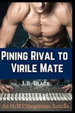 Pining Rival to Virile Mate