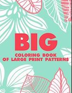 Big Coloring Book Of Large Print Patterns