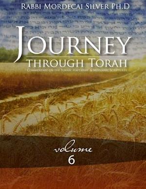 Journey Through Torah Volume 6