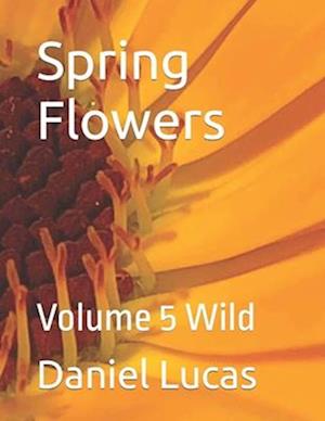 Spring Flowers : Volume 5 Wild
